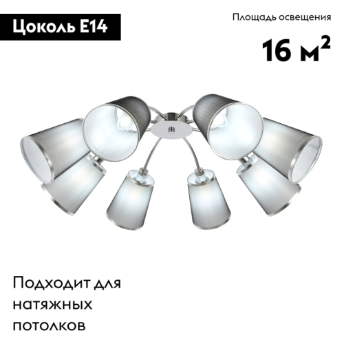 Потолочная люстра EVOLUCE MALEONTE SLE103002-08 изображение в интернет-магазине Cramer Light фото 2