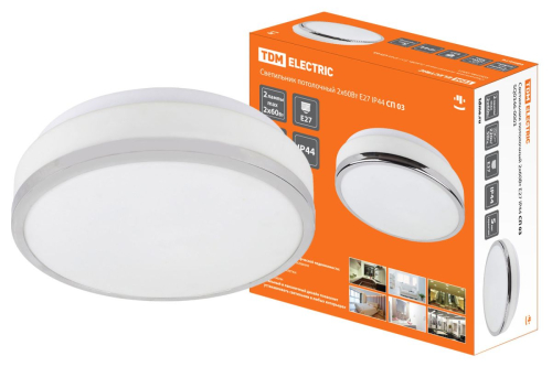 Потолочный светильник TDM Electric СП 03 SQ0346-0003 изображение в интернет-магазине Cramer Light