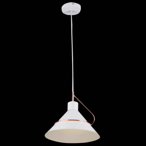 Подвесной светильник Freya Amis FR5025PL-01W изображение в интернет-магазине Cramer Light фото 2