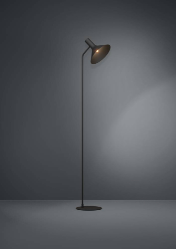 Торшер Eglo Morescana 390222 изображение в интернет-магазине Cramer Light фото 2