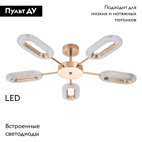 Потолочная люстра Arte Lamp Ovale A2489PL-5GO изображение в интернет-магазине Cramer Light фото 2