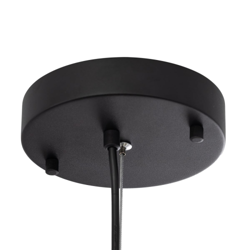Подвесной светильник Citilux Floom CL736251 изображение в интернет-магазине Cramer Light фото 6