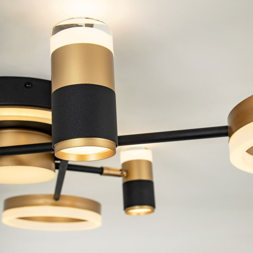 Потолочная люстра LED4U L3121-6 изображение в интернет-магазине Cramer Light фото 3