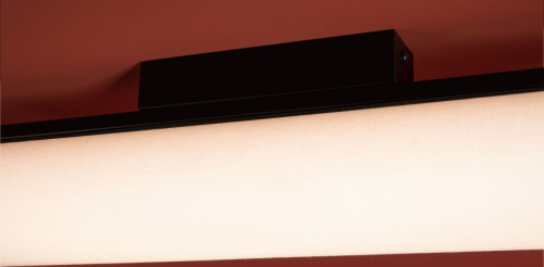 Потолочный светильник Freya Even FR5625CL-L20B изображение в интернет-магазине Cramer Light фото 15