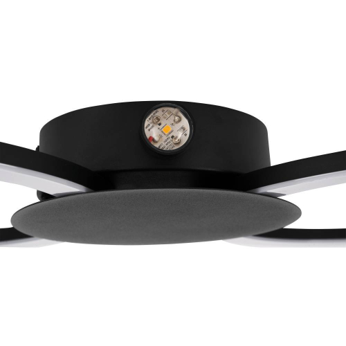 Настенный светильник Eglo Venticello 1 902124 изображение в интернет-магазине Cramer Light фото 4