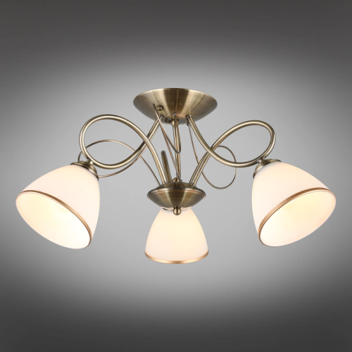 Потолочная люстра Omnilux Alimini OML-25307-03 изображение в интернет-магазине Cramer Light фото 8