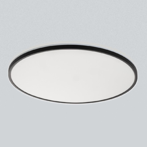 Потолочный светильник Citilux Norma CL748601 изображение в интернет-магазине Cramer Light фото 5