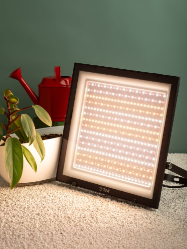 Фитопрожектор Эра FITO-200W-Ra90-LED Б0059879 изображение в интернет-магазине Cramer Light фото 9