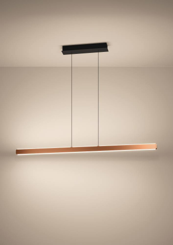 Линейный подвесной светильник Eglo Ciggiano 390499 изображение в интернет-магазине Cramer Light фото 2