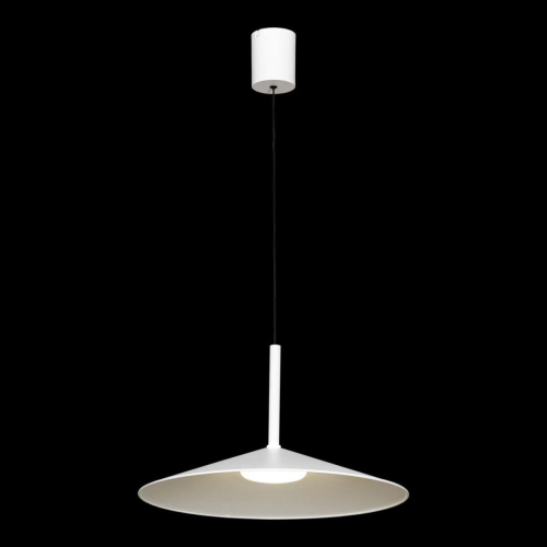 Подвесной светильник Lussole Refugio LSP-7431 изображение в интернет-магазине Cramer Light