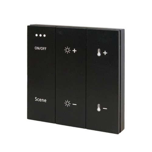 Панель управления ST Luce Skyline ST015.400.99 изображение в интернет-магазине Cramer Light