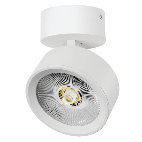 Накладной светильникAlta Pro Lightstar A5646SO изображение в интернет-магазине Cramer Light