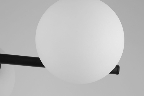 Потолочный светильник Lampit Ledo TP 2011-3 BK изображение в интернет-магазине Cramer Light фото 4