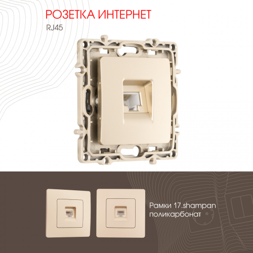 Розетка RJ45 Arte Milano 217.45-1.shampan дополнительное фото