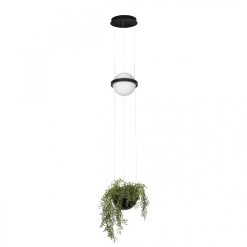 Подвесной светильник Loft IT Jardin 10121/B изображение в интернет-магазине Cramer Light