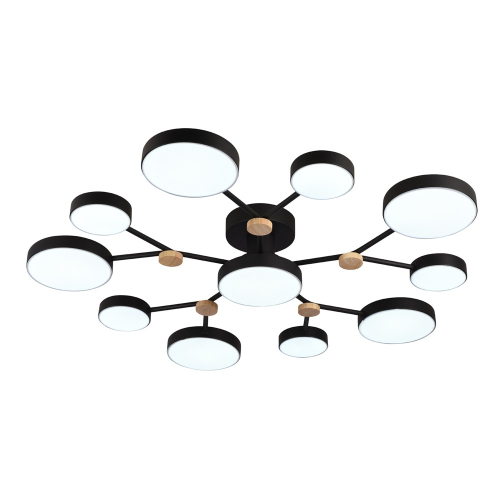 Потолочная люстра LED4U L3201-960 BK изображение в интернет-магазине Cramer Light фото 3