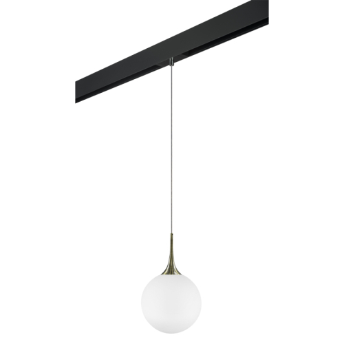 Трековый светильник Lightstar Globo PRO813031 (813031+595007) изображение в интернет-магазине Cramer Light