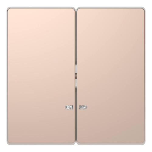 Клавиша двойная Schneider Electric Merten D-Life MTN3420-6051 дополнительное фото