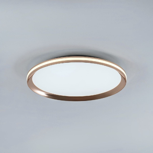 Потолочный светильник LED4U L3020-400 GD изображение в интернет-магазине Cramer Light фото 4