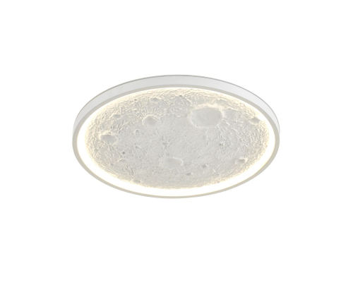 Потолочный светильник Moderli Spatial V11657-CL изображение в интернет-магазине Cramer Light