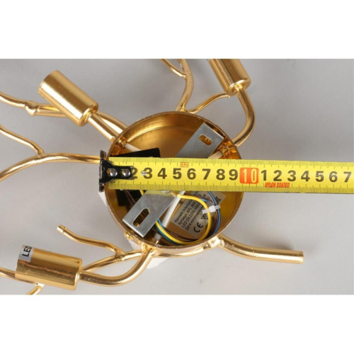 Настенный светильник  Aployt Paulina APL.848.01.03 изображение в интернет-магазине Cramer Light фото 10