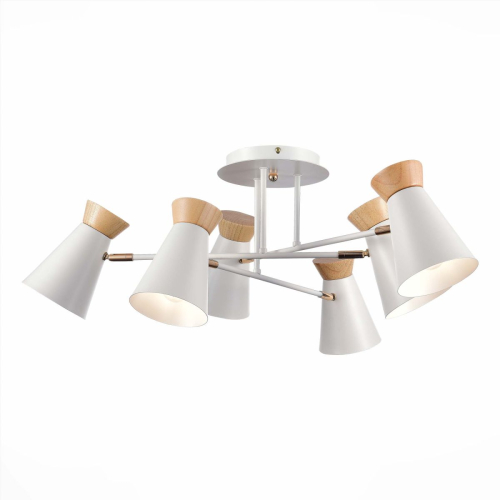 Потолочная люстра Evoluce Alfeo SLE1252-502-06 изображение в интернет-магазине Cramer Light фото 4