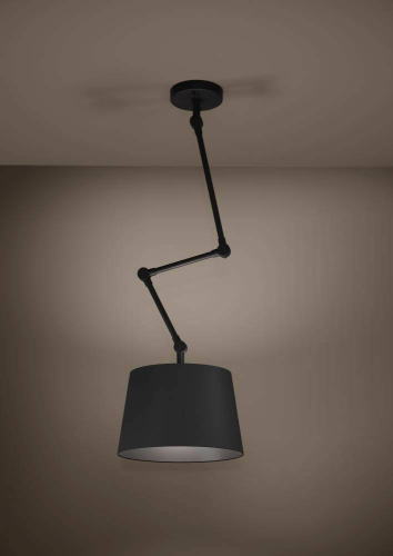 Потолочный светильник Eglo Pistunio 390112 изображение в интернет-магазине Cramer Light фото 2