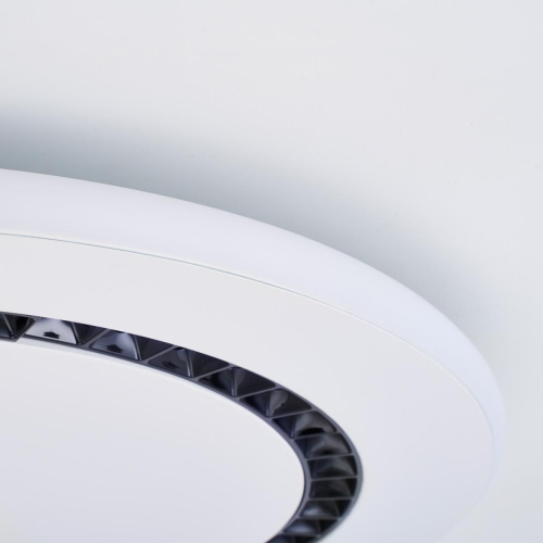 Потолочный светильник F-Promo Skiva 4433-1C изображение в интернет-магазине Cramer Light фото 4