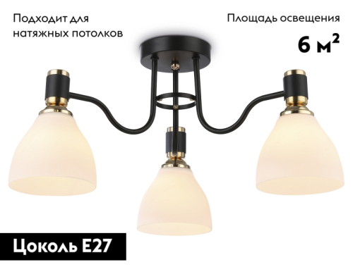 Потолочная люстра Ambrella Light Modern TR303303 изображение в интернет-магазине Cramer Light фото 2