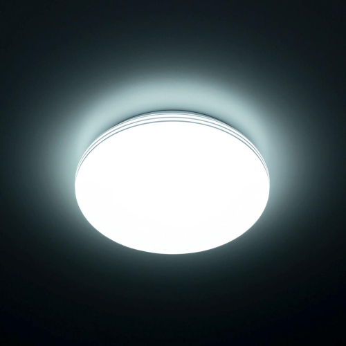 Потолочный светильник Citilux Симпла CL71424SV изображение в интернет-магазине Cramer Light фото 2