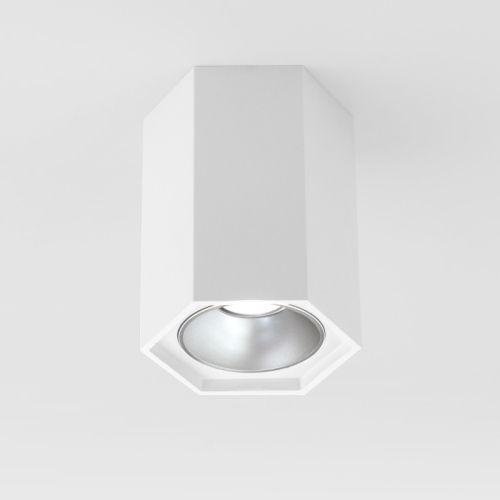Накладной светодиодный светильник Elektrostandard 25036/LED 4690389176487 изображение в интернет-магазине Cramer Light