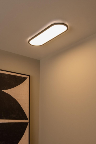 Потолочный светильник Lucide Elly 07121/24/30 изображение в интернет-магазине Cramer Light фото 6