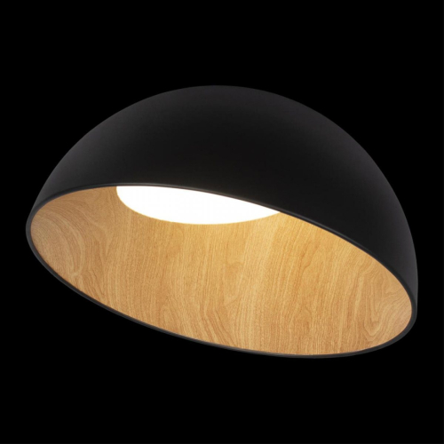 Потолочный светильник Loft IT Egg 10197/500 Black изображение в интернет-магазине Cramer Light фото 2