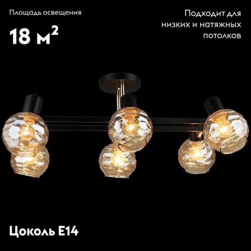 Потолочная люстра Reluce 04772-0.8-06 изображение в интернет-магазине Cramer Light фото 2