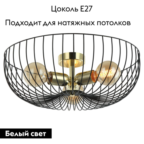 Потолочная люстра Lussole LOFT BROOKS GRLSP-8251 изображение в интернет-магазине Cramer Light фото 2