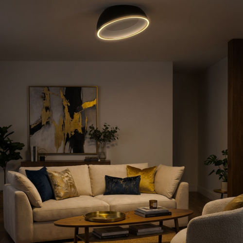 Потолочный светильник Citilux Floom CL736151 изображение в интернет-магазине Cramer Light фото 14