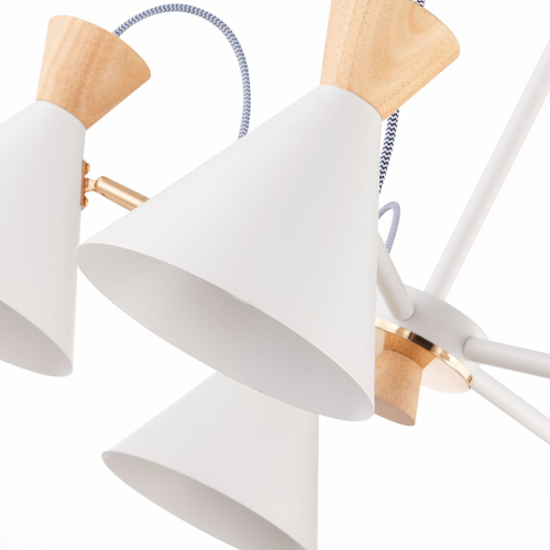 Потолочная люстра Evoluce Modica SLE125102-05 изображение в интернет-магазине Cramer Light фото 4