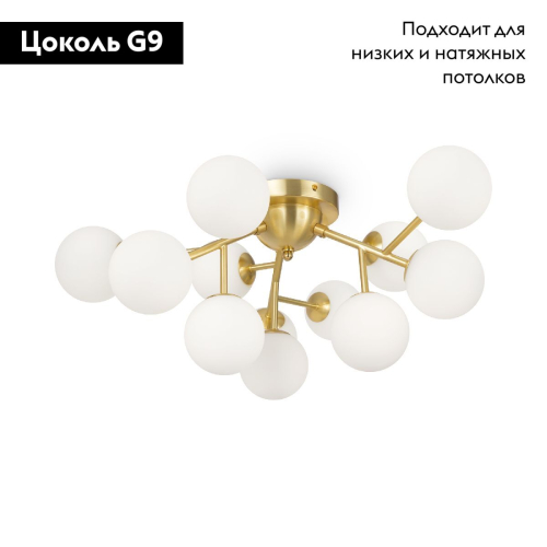 Потолочная люстра Maytoni Dallas MOD545CL-12BS изображение в интернет-магазине Cramer Light фото 2