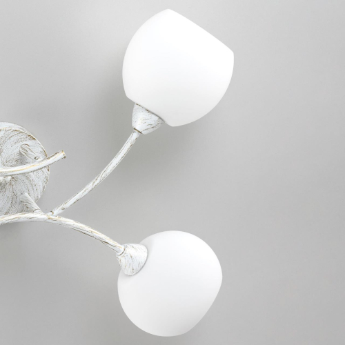 Потолочная люстра Citilux Флорида CL148140 изображение в интернет-магазине Cramer Light фото 10
