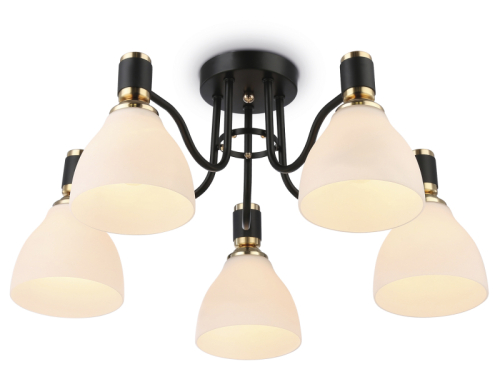 Потолочная люстра Ambrella Light Modern TR303307 изображение в интернет-магазине Cramer Light