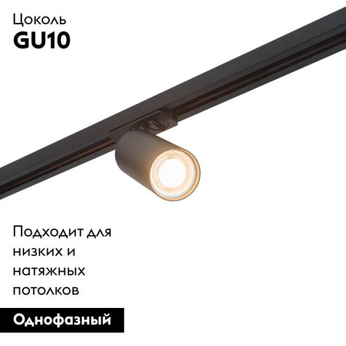 Светильник на шине Denkirs DK6202-BK изображение в интернет-магазине Cramer Light фото 2