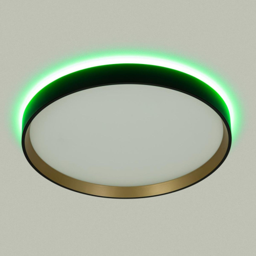 Потолочный светильник Citilux Etalon CL750321R изображение в интернет-магазине Cramer Light фото 4