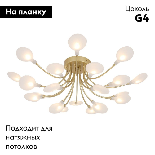 Потолочная люстра F-Promo Skein 4197-20C изображение в интернет-магазине Cramer Light фото 2