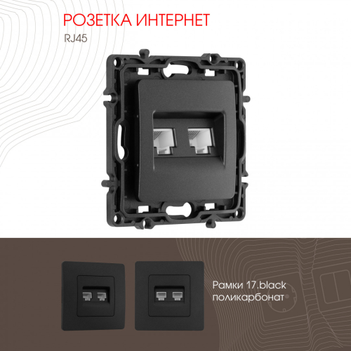 Розетка RJ45 Arte Milano 217.45-2.black дополнительное фото