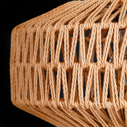 Подвесной светильник Arte Lamp Brushwood A7087SP-1BK изображение в интернет-магазине Cramer Light фото 4