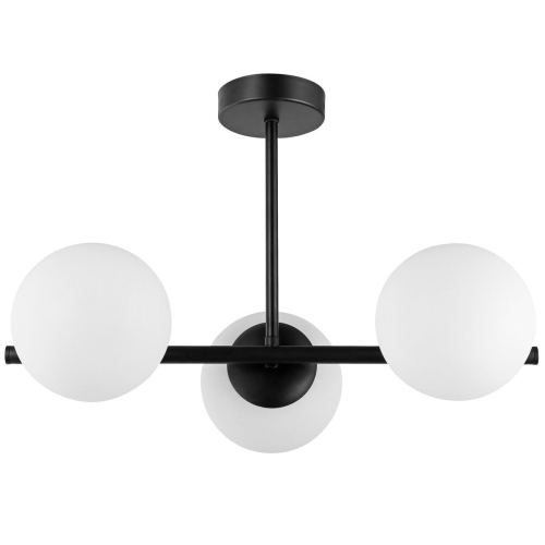 Потолочный светильник Lampit Ledo TP 2011-3 BK изображение в интернет-магазине Cramer Light