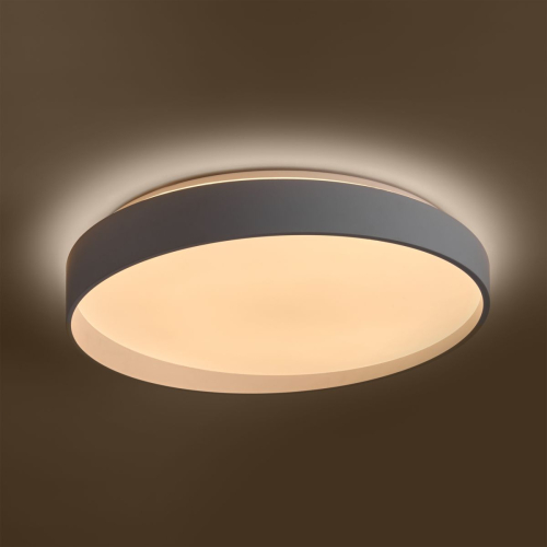 Потолочный светильник Freya Pass FR6222CL-L84W изображение в интернет-магазине Cramer Light фото 4