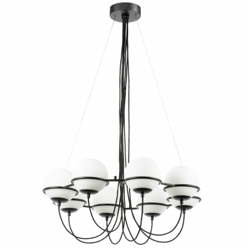 Подвесная люстра Lightstar 803287 изображение в интернет-магазине Cramer Light