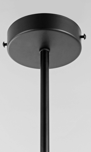 Потолочный светильник Lampit Ledo TP 2011-2 BK изображение в интернет-магазине Cramer Light фото 3