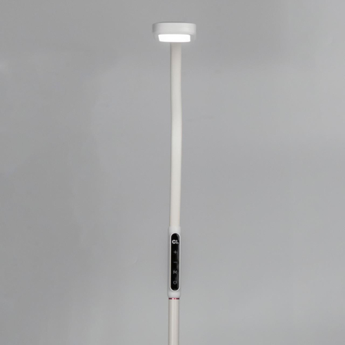 Торшер Citilux CL804020 изображение в интернет-магазине Cramer Light фото 4